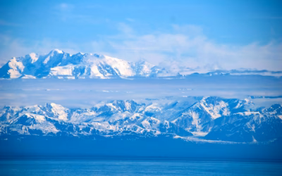 Guided UTV With Snow Tracks Tours In Alaska / Your…