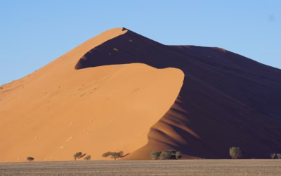 Sand Dune Rental Packages For Families: Thrill Seekers, Gear Up!…