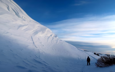 Snowmobiling ~ Hit The Gas! Epic Snowmobiling Adventures Await In…