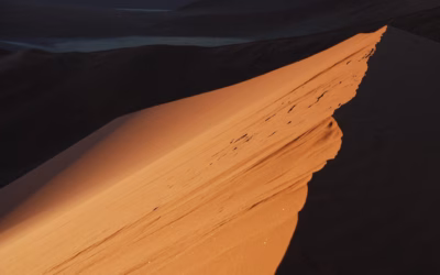Turbo UTV Rental Deals At Dunes | Ready To Unleash…