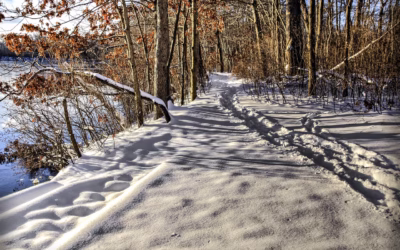 UTV With Snow Tracks Rental Deals – Gear Up For…