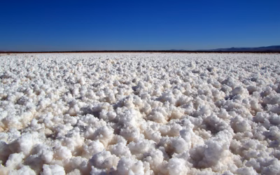 Great Salt Lake Boat Rentals » Get Your Adventure On:…