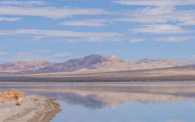 Lake Mead Nevada Boat Rentals ~ Your Ultimate Guide To…