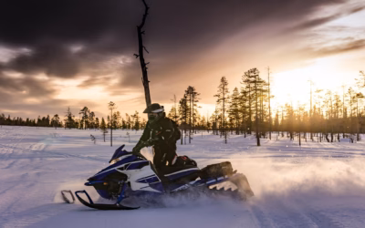 Snowmobile Brands | Get Your Engine Revving: The Ultimate Guide…