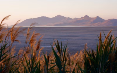 Utah Snowmobiling Packages » Gear Up For Adventure: Your Guide…
