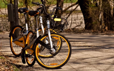 Where Can I Rent 4 Wheeler Rentals ~ Get Your…