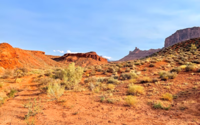 Where Can I Rent Side By Side Rentals In Moab…