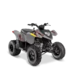 Polaris Phoenix 200 Youth ATV (4-Wheeler) Rental - Image 2