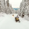 Ski-Doo Snowmobiles for Rent - Image 19